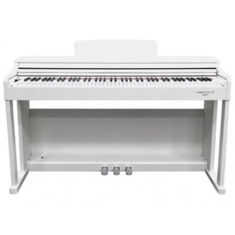 Echord DPX100W Polished White