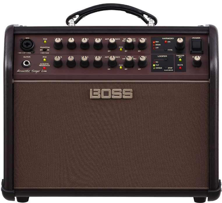 Boss Acoustic Singer Live